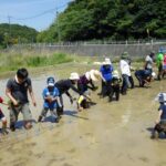 体験田での田植え♪