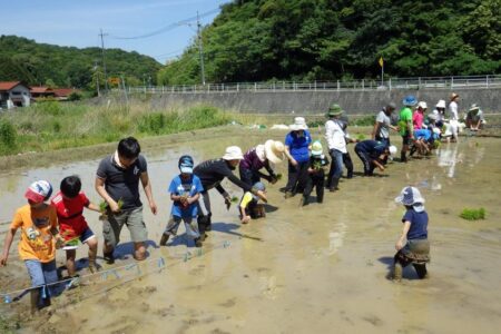 体験田での田植え♪