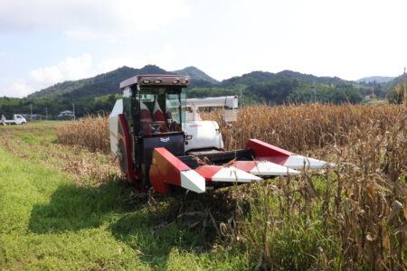 飼料用子実トウモロコシ収穫実演会のご案内